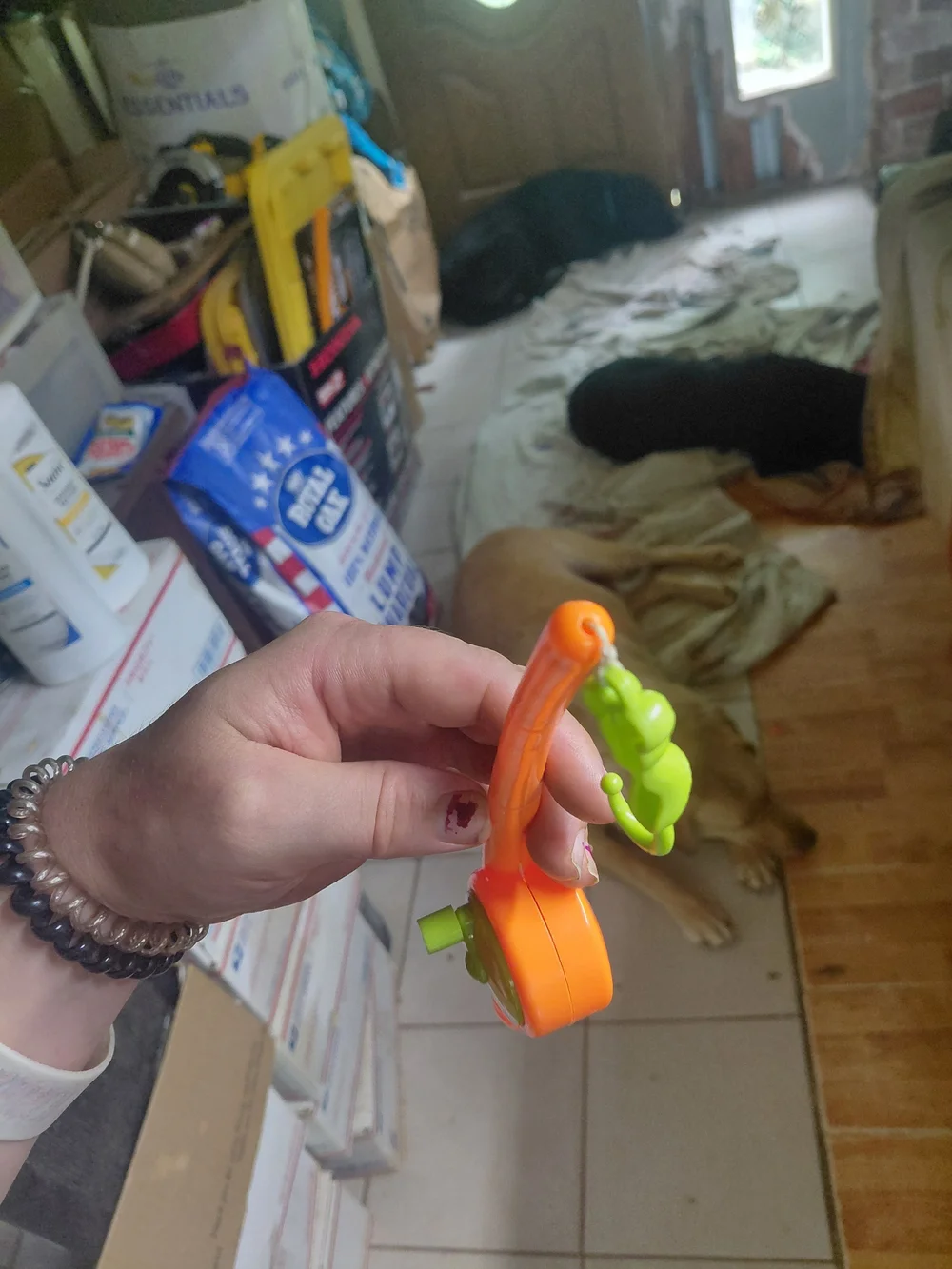 no brand bright orange